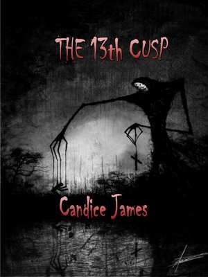 cover image of The 13th Cusp